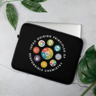 Guiding Principles Laptop Sleeve